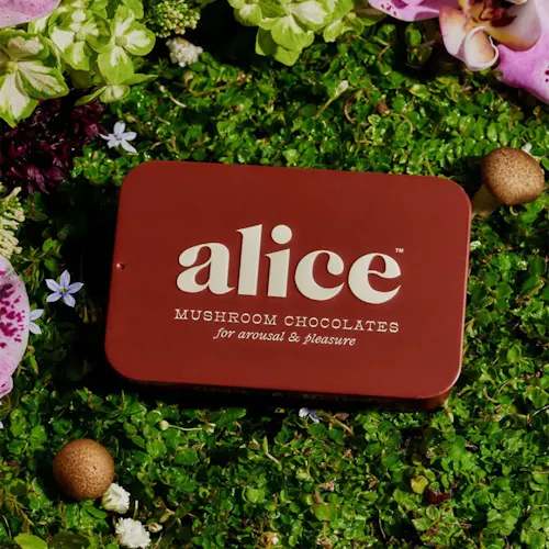 Alice | Mushroom Chocolates |  Happy Ending – Arousal & Pleasure | 16 pcs-active
