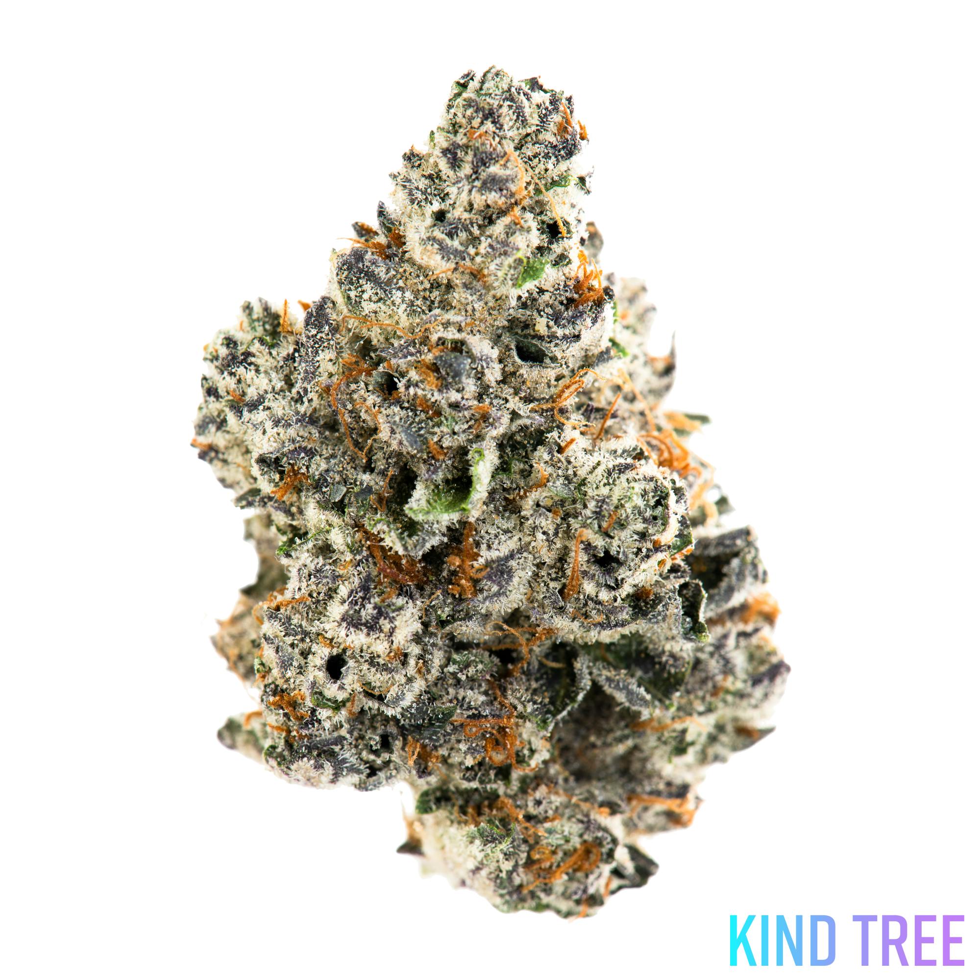 Kind Tree Collab #13 Flower