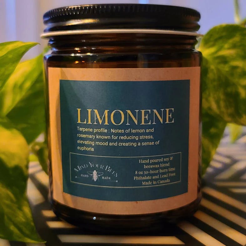 Mind Your Bees - Terpene Inspired Luxury Candle - Limonene