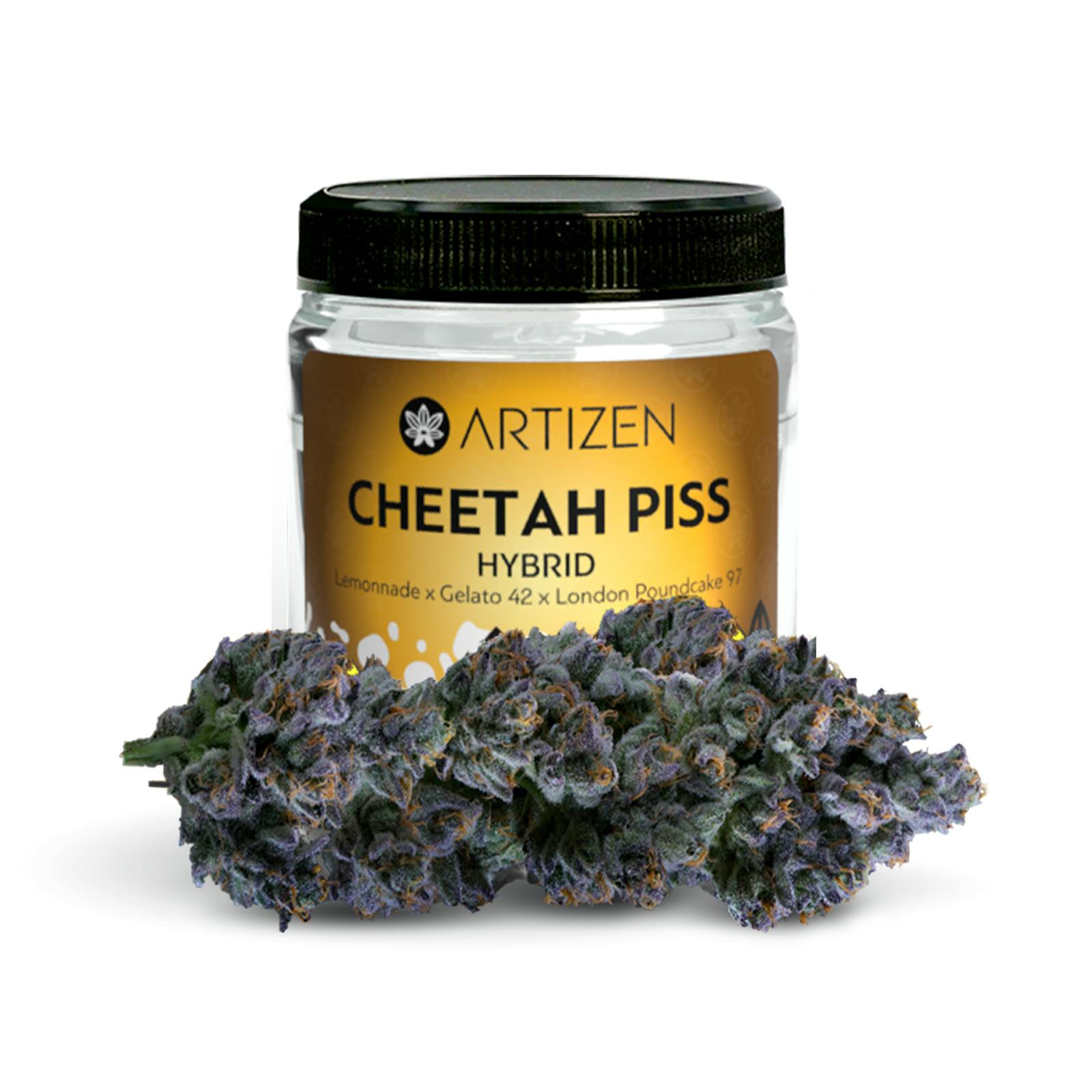 Cheetah Piss in Zips on 6th