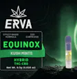 Kush Mints THC CBD 2:1