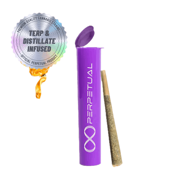 Cherry Bomb (S) - 1g Distillate Infused Pre Roll - Perpetual - Image 2