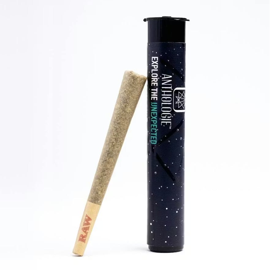 Anthologie (MPX) Sour Apricot | Single Pre-Roll | 1g - Union Chill