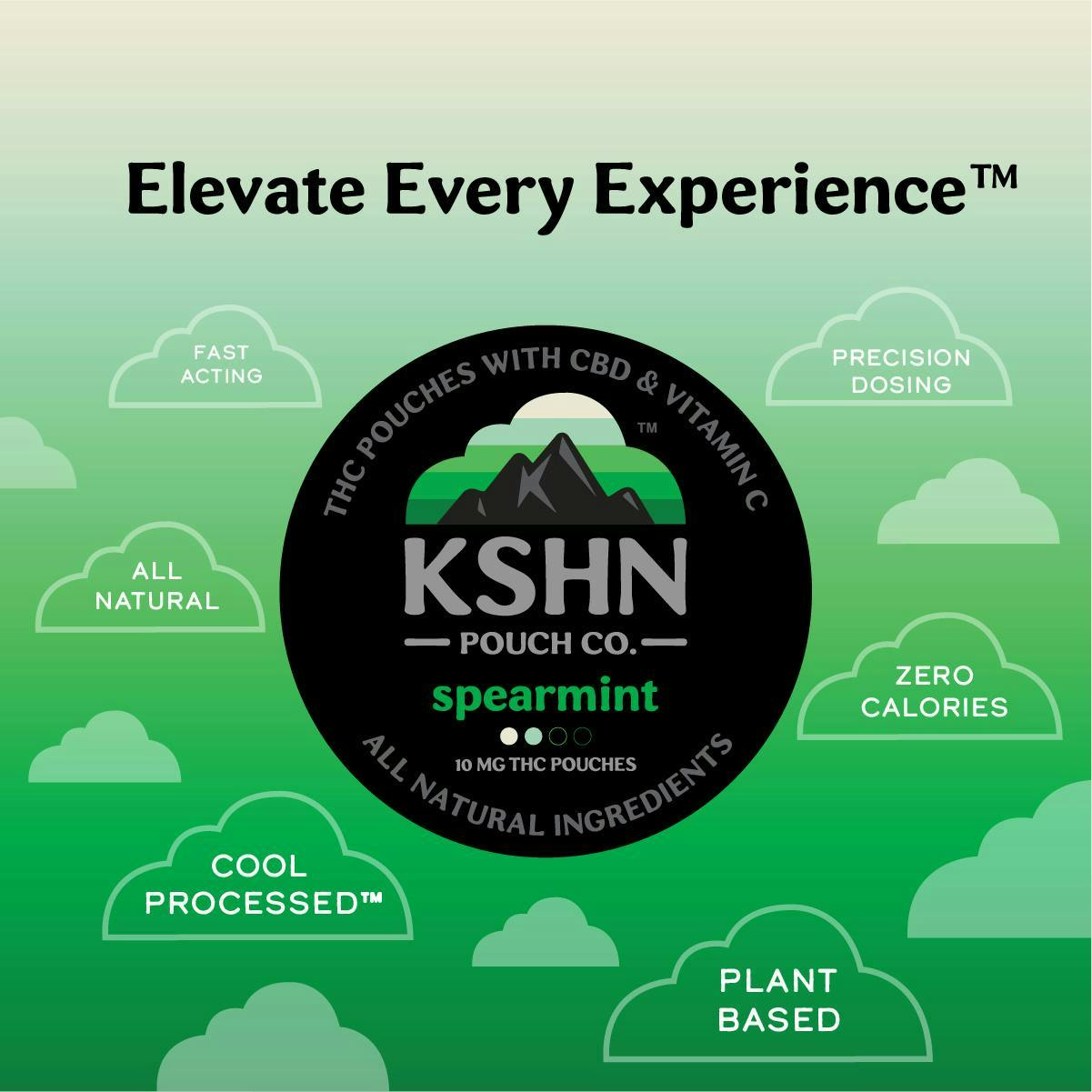 Product: KSHN | SPEARMINT | THC POUCH | 200MG