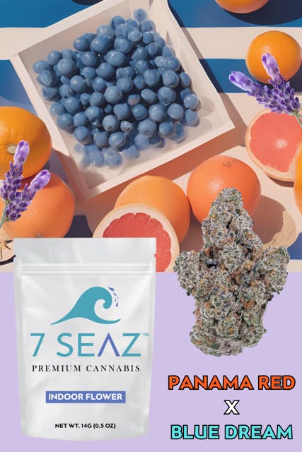Photo of 7 Seaz – Panama Red x Blue Dream (Half)
