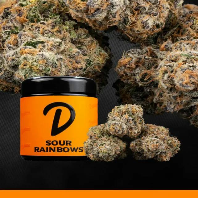 Dankems - 14g Prepack Jar - Sour Rainbows