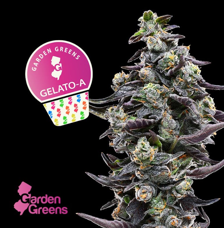 Garden Greens - Gelato A