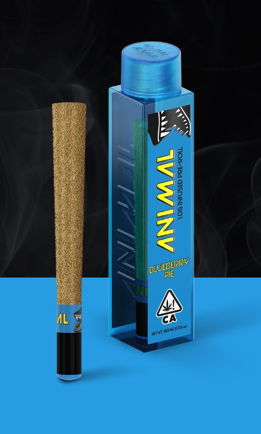 Pre-Roll | Animal | Blueberry Pie - Infused Pre-Roll | 1g