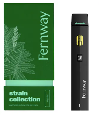 Shop Weed Vapes Southern NJ – Best Disposable Vape & Carts