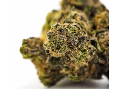 DANK | Space Jam | Indoor Grown Flower | 3.5g-5