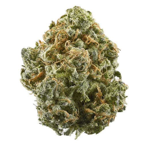 Dank | Blue Dream | 14g