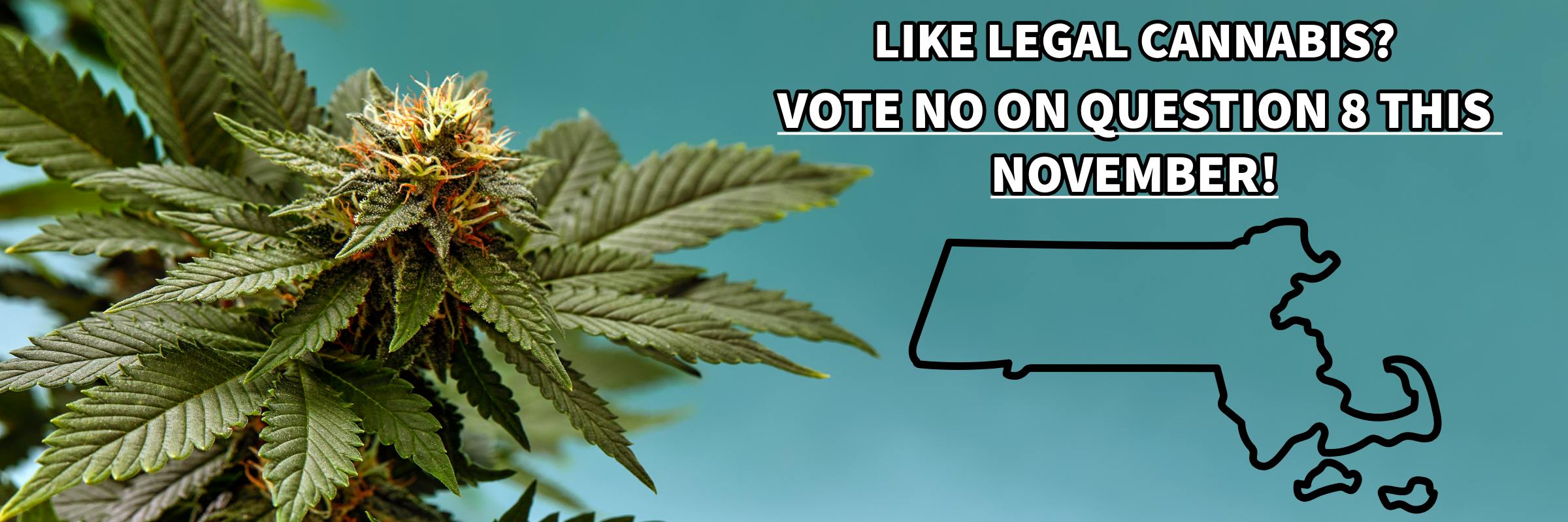 VOTE NO ON QUESTION 8