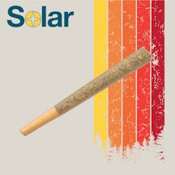 Apples & Bananas S1 -  Preroll 1g