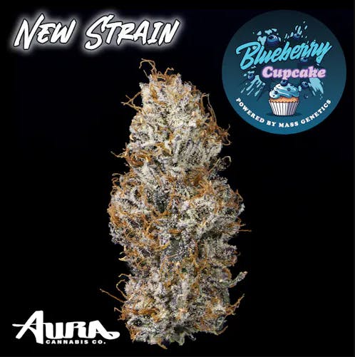 Product: GNG | Blueberry Cupcake | Flower - 3.5g