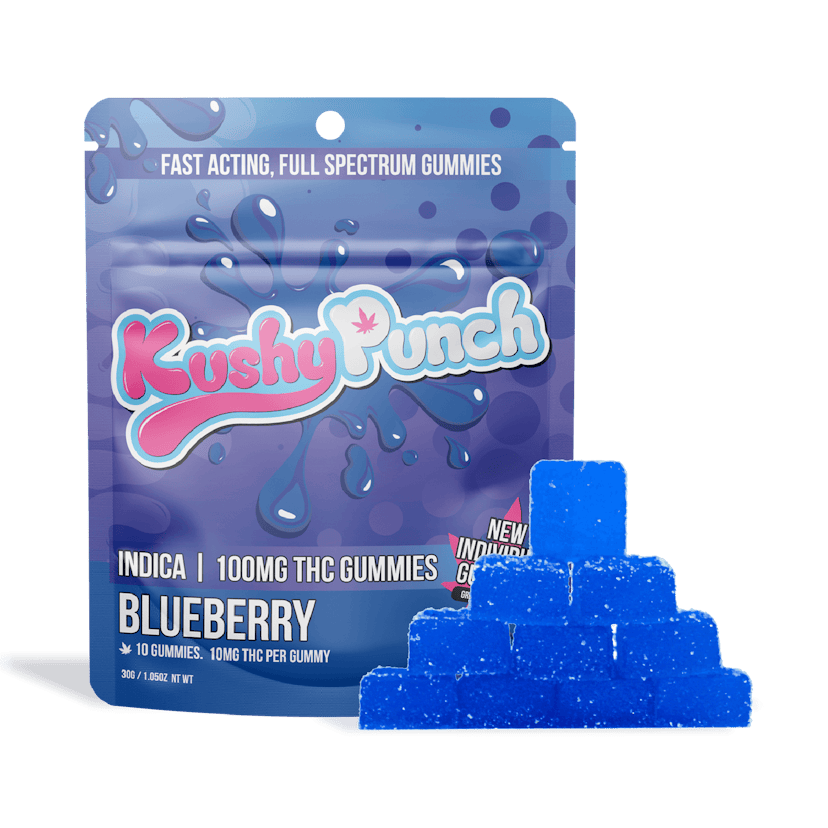Blueberry Individual Fast-Acting Gummies 10-pack