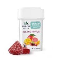 Product Island Punch | Fast Acting Gummies 20pk