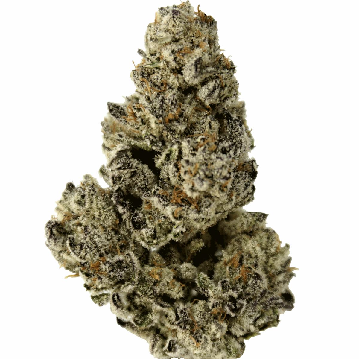 Image of Triple Chocolate Chip | 3.5g