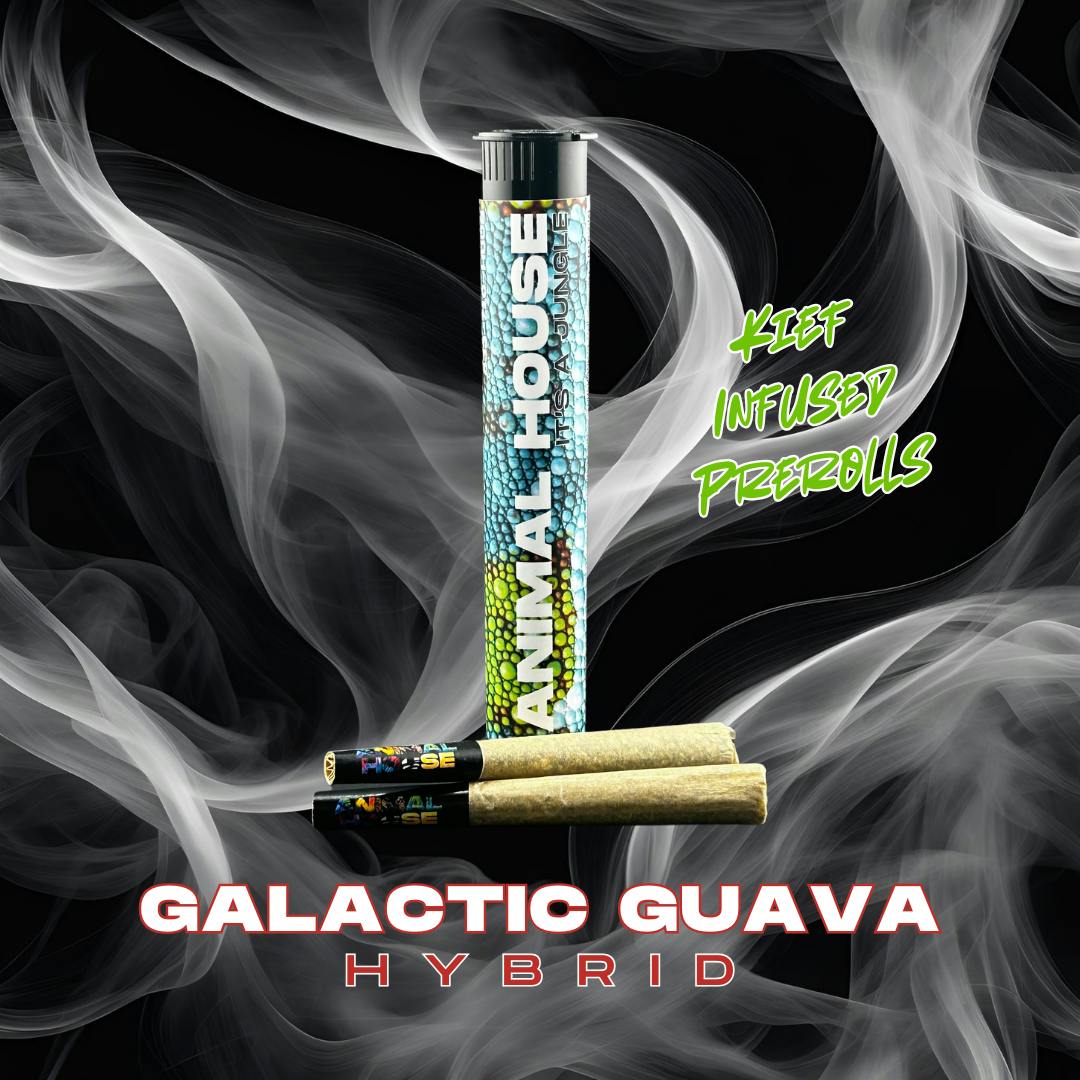 Preroll | Animal House | Galactic Guava | Infused | 2ct | 1.5g