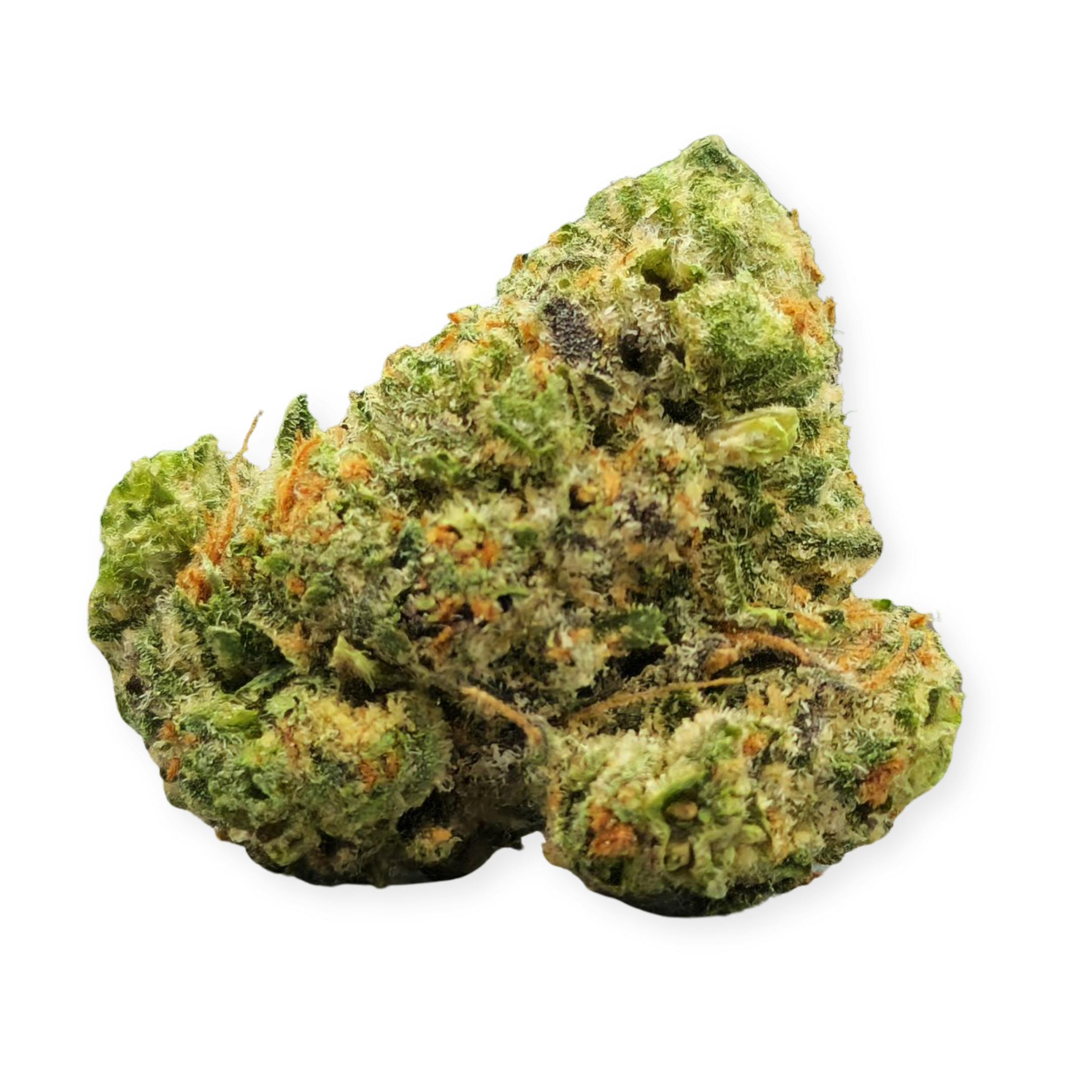 Mac 2 Sativa 3.5g ECO Flower by PVP • Pecos Valley Production