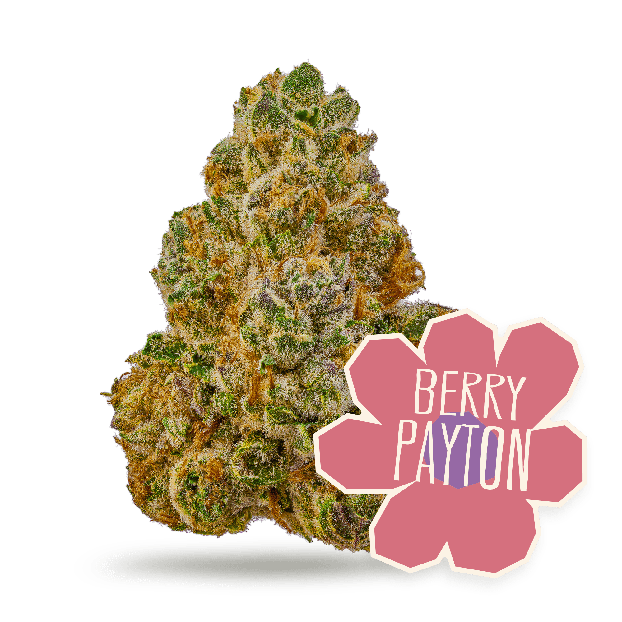 Berry Payton