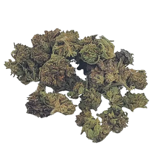 Oceana Gardens | Garlic Budder Prepack-1