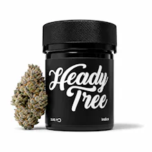 Heady Tree - 3.5g - Lu Lu Lemon - FLOWER by Heady Tree at King of Budz