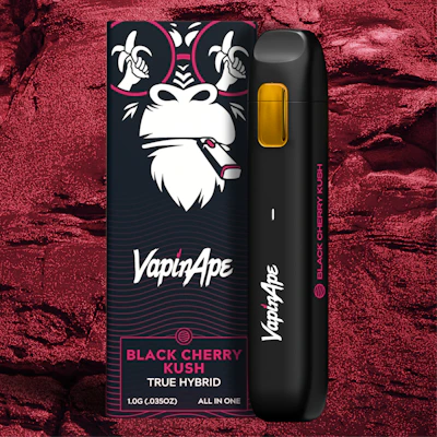 Vapin Ape - Disposable - Black Cherry Kush (H)
