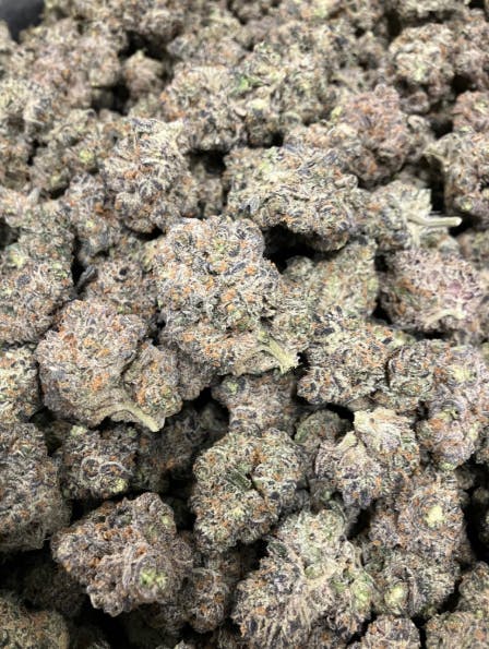 Sub Zero | Harbor Farmz