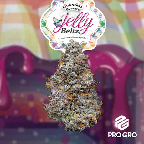 Jelly Beltz 1g Pre-Roll - product image at King of Budz