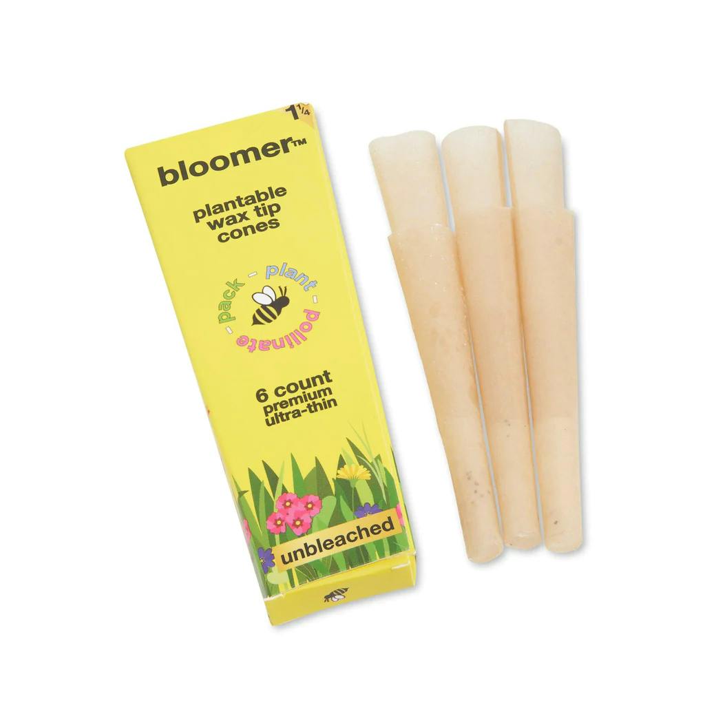 image of Bloomer 1 ¼ Cones w/ Wildflower Seed Tips