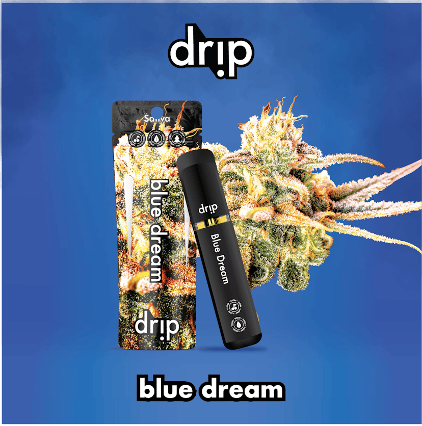 Drip Disposable | Blue Dream