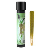 Mojito Tarantula | 1g - product image at King of Budz