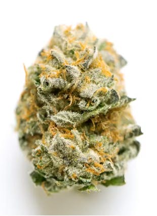 HH Jet Fuel Gelato 3.5g Flower