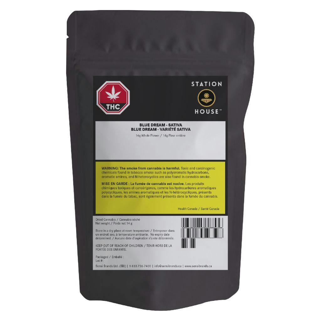 Station House Blue Dream Dried Flower