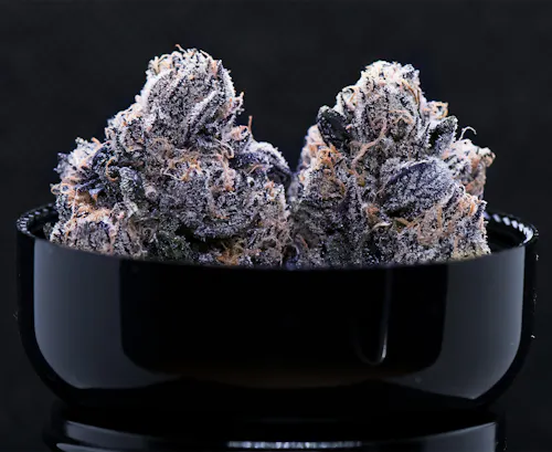 Noble Valley | Flower | Island Boi 10 | 7g-1