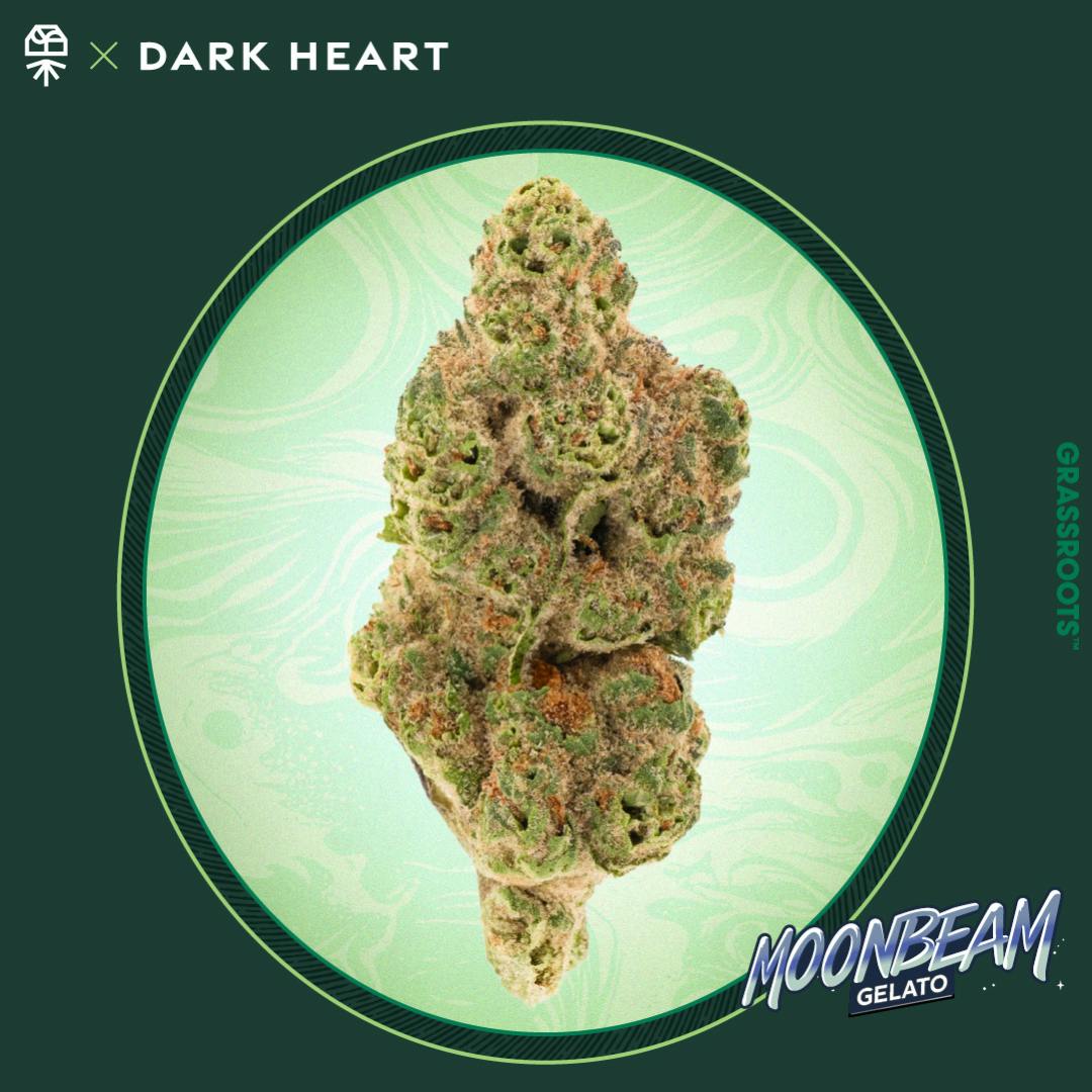 Dark Heart Collection Moonbeam Gelato Whole Flower 3.5g