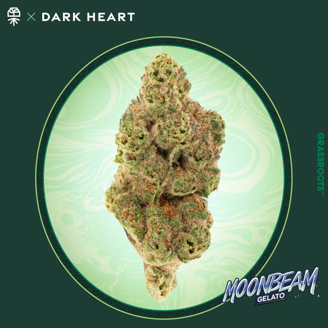 Dark Heart Collection Moonbeam Gelato Whole Flower 3.5g at The