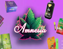 Amnesia - 1.5g Infused Bubble Hash Blunt - Gorilla Glue - PRE_ROLLS by Amnesia at King of Budz