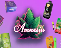 Amnesia - 1.5g Infused Bubble Hash Blunt - Jack Herer - product image at King of Budz