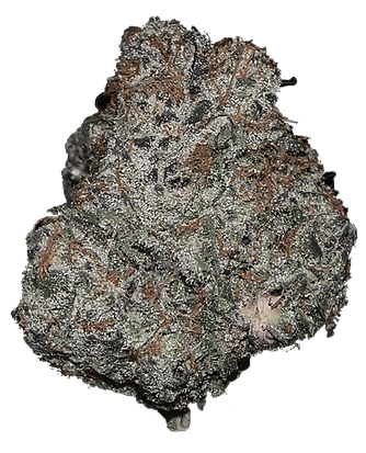 Product Cinderella Cream Buds