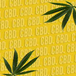 CBD category image