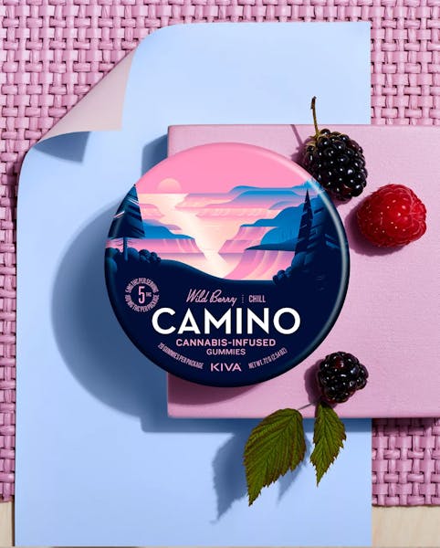 Wild Berry (I) - 100mg 20pk (Chill) Gummies - Camino