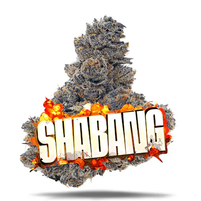 Shabang - Premium Flower