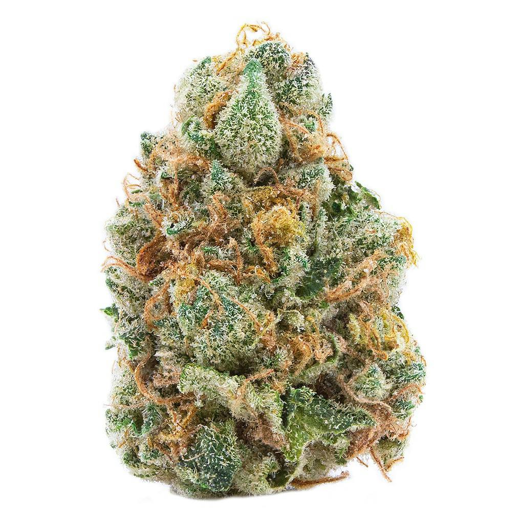 Spinach - gmo cookies