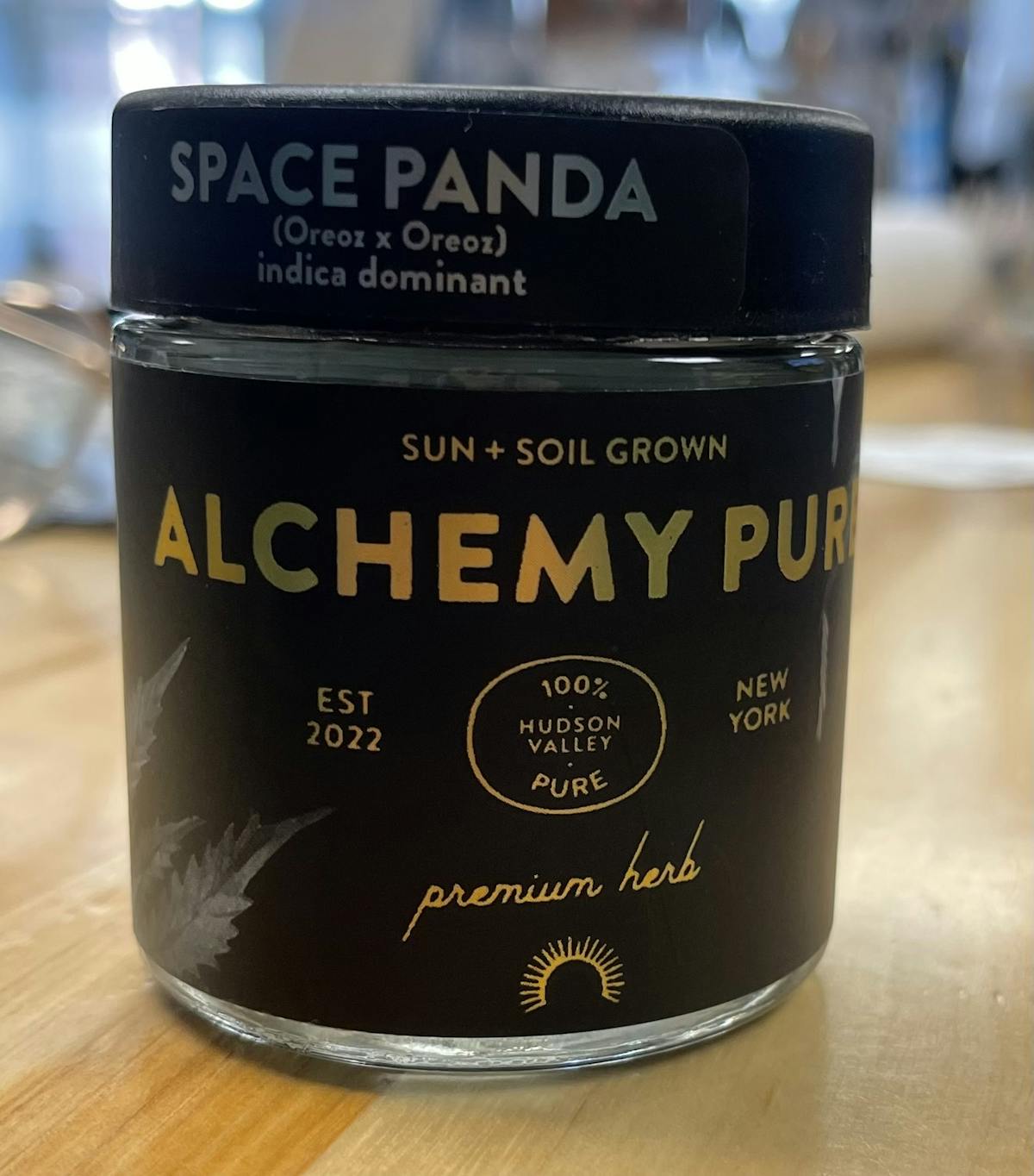 Photo of Space Panda