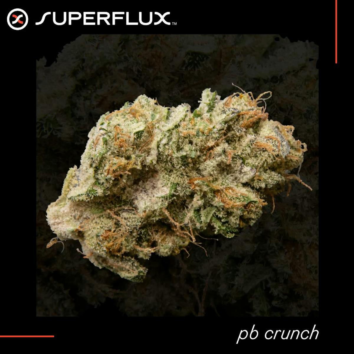 Photo of PB Crunch
