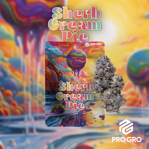 Sherb Cream Pie 3.5g Flower-active