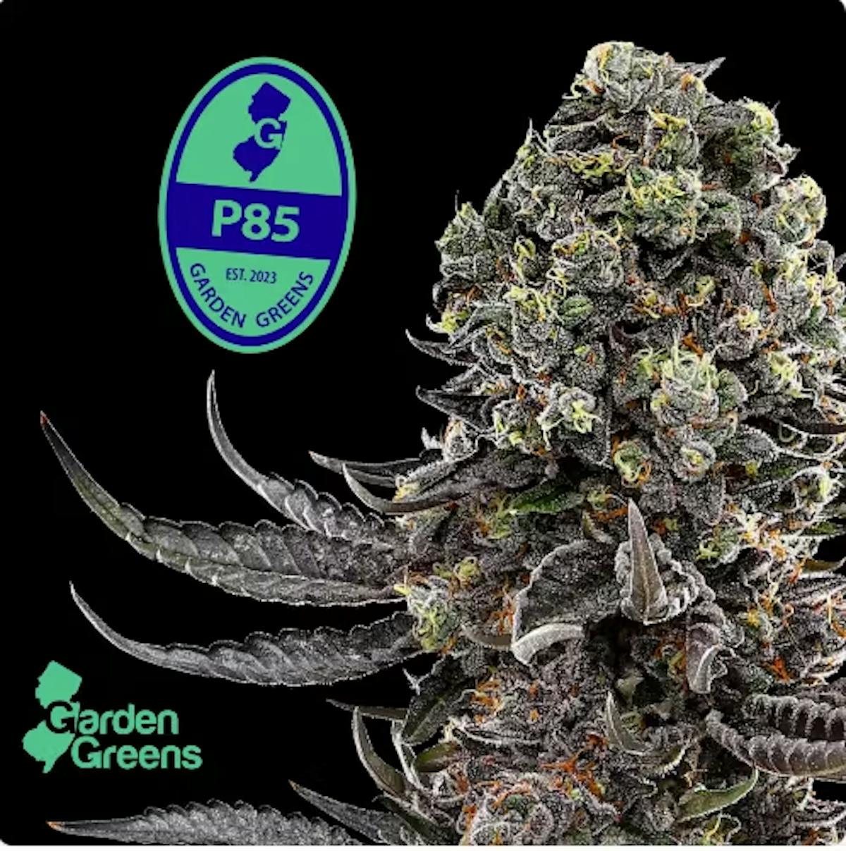 Photo of GG Pluto 85 Big Bud (7g)