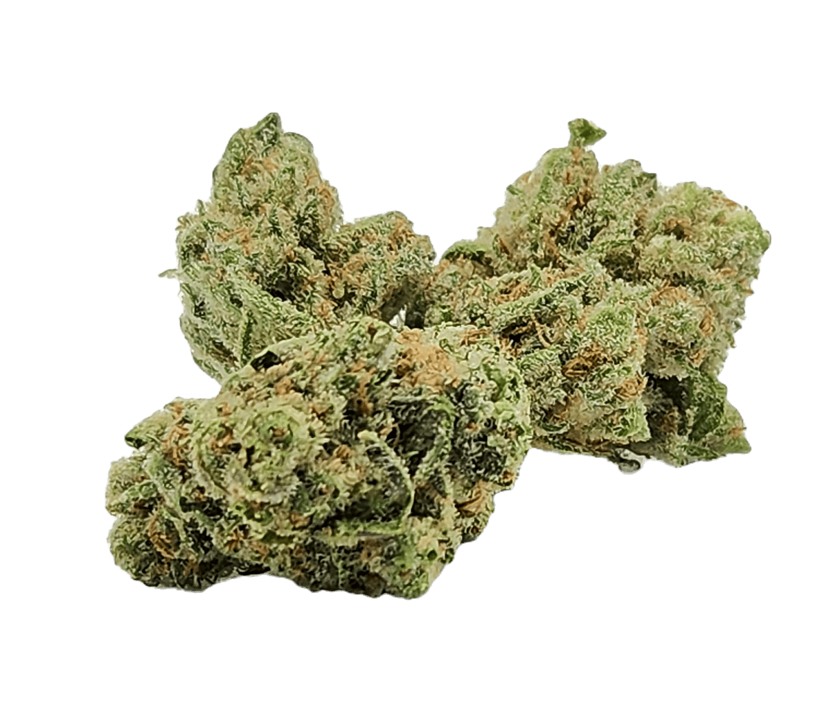 Yoda | High End Market Place