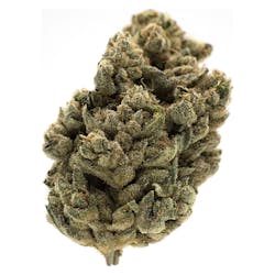 Flower | MTL Cannabis - Jungl' Cake - Sativa